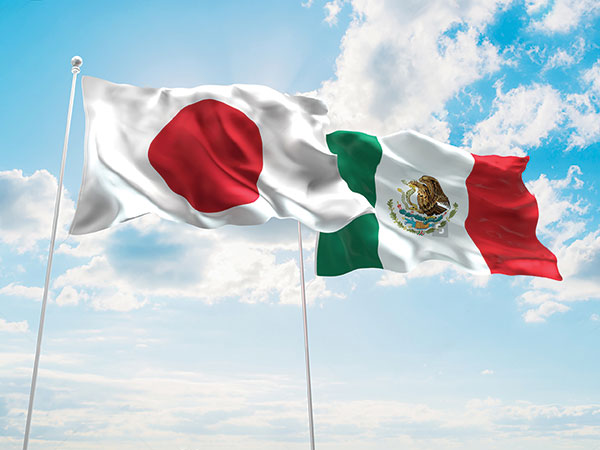 メキシコ 日本 姉妹旗 ココ メキシコ